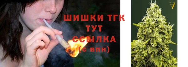 прущие крисы Вяземский